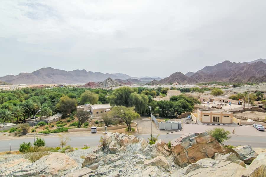 Hatta Safari & Honey Bee Garden Visit - From Dubai’s streets to the Hajar Mountains