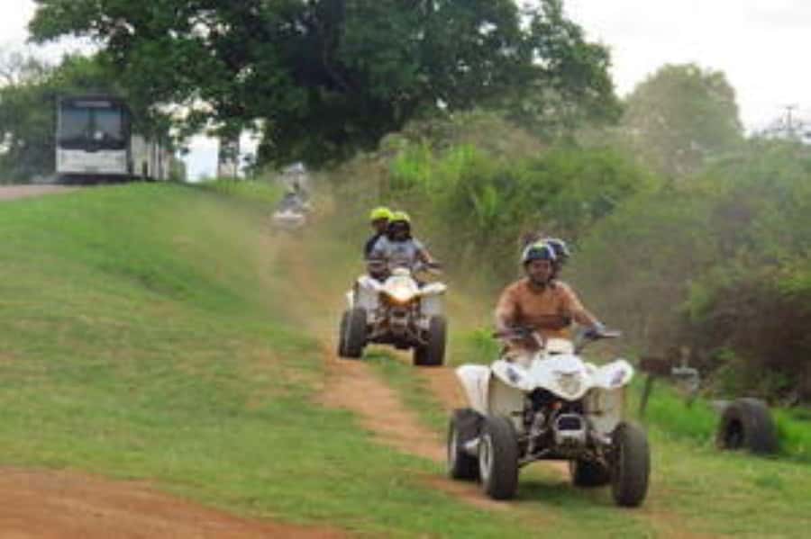 Hazyview: Guided Macadamia Plantation and Forest Quad Safari - Key points at a glance