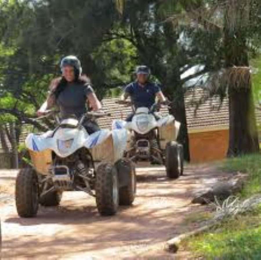 Hazyview: Guided Macadamia Plantation and Forest Quad Safari - Riding from the Extreme Adventure Camp