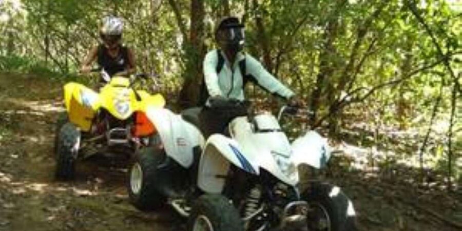 Hazyview: Guided Macadamia Plantation and Forest Quad Safari - Who will enjoy this Hazyview quad safari?