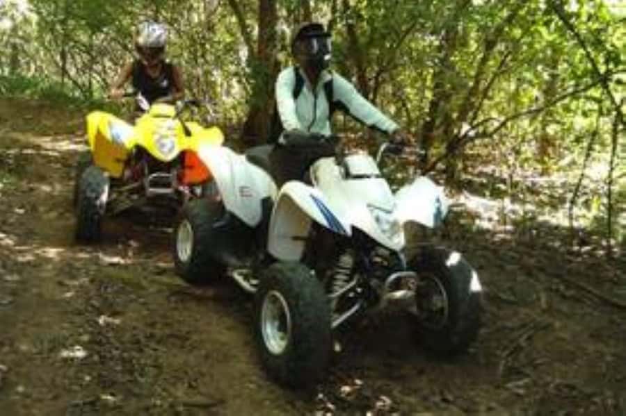 Hazyview: Guided Macadamia Plantation and Forest Quad Safari - Learning the quad bike before the trail