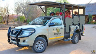 Private Full-Day Guided Kruger Safari