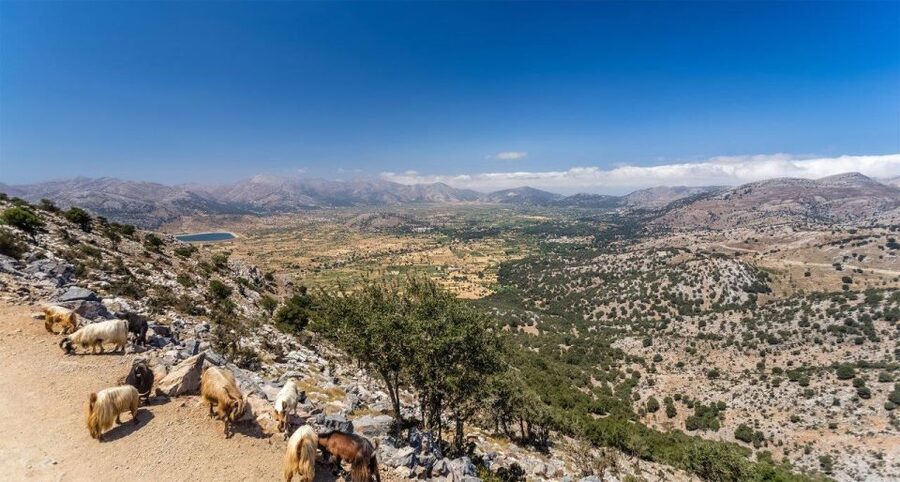 Heraklion: Sunset Safari with Dinner & Prosecco - Following the Minoan path by Land Rover