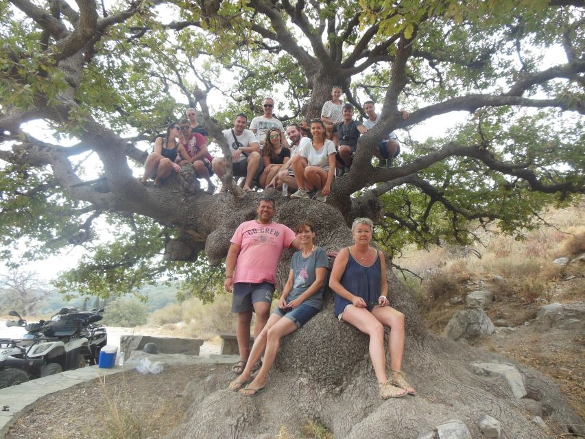 Hersonisos - Malia :off-road quad safari with transfer+Lunch - Who will enjoy this most