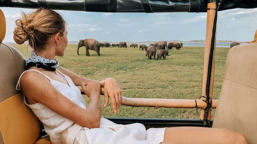 Hikkaduwa/Galle/Weligama/Mirissa/Tangalle: Udawalawa Safari - Why Udawalawe is a strong choice for elephant watching