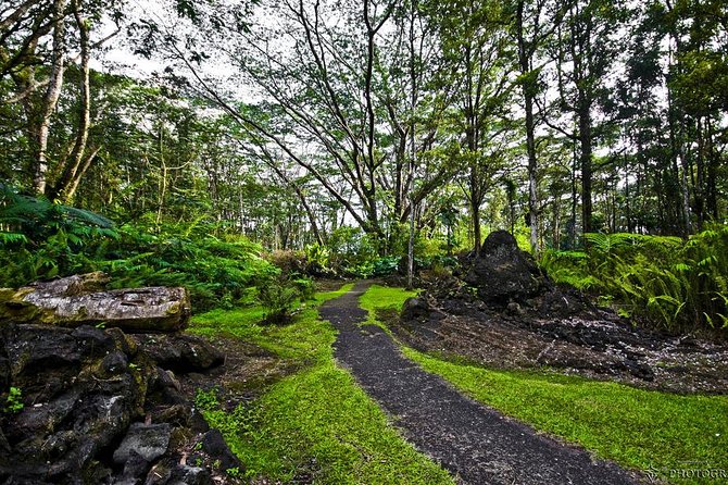 Hilo Shore Excursion: Volcano Safari Lava Caves & Black Sand - Lunch, local stops, and the value of a flexible route