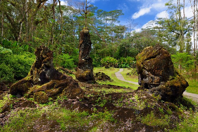 Hilo Shore Excursion: Volcano Safari Lava Caves & Black Sand - What the $154 price really covers