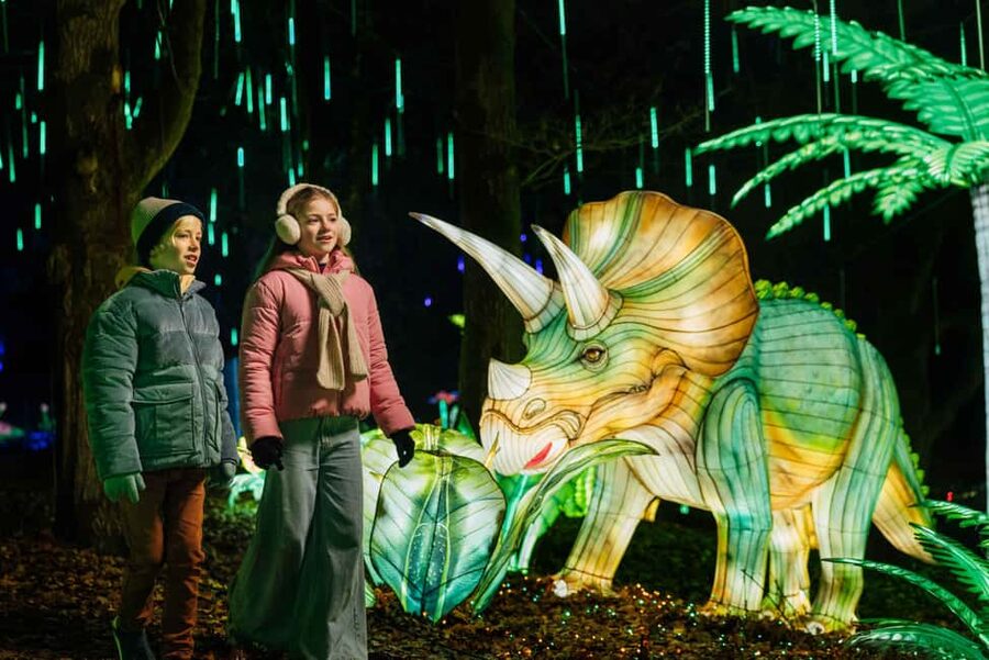 Hilvarenbeek: Light Safari at Beekse Bergen - Key points to know before you go