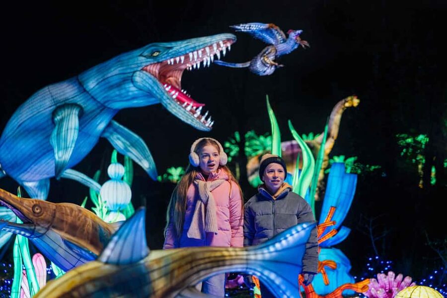 Hilvarenbeek: Light Safari at Beekse Bergen - A different kind of evening at Beekse Bergen
