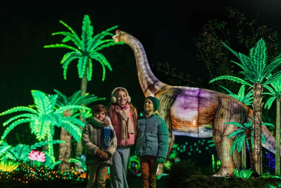 Hilvarenbeek: Light Safari at Beekse Bergen - The Ice Age brings a colder mood