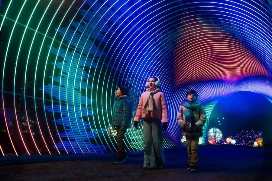 Hilvarenbeek: Light Safari at Beekse Bergen - Is $25 a fair price?
