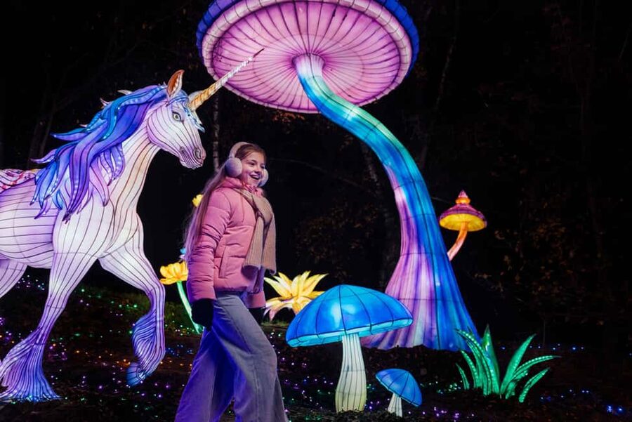 Hilvarenbeek: Light Safari at Beekse Bergen - From Earth’s beginnings to the age of dinosaurs
