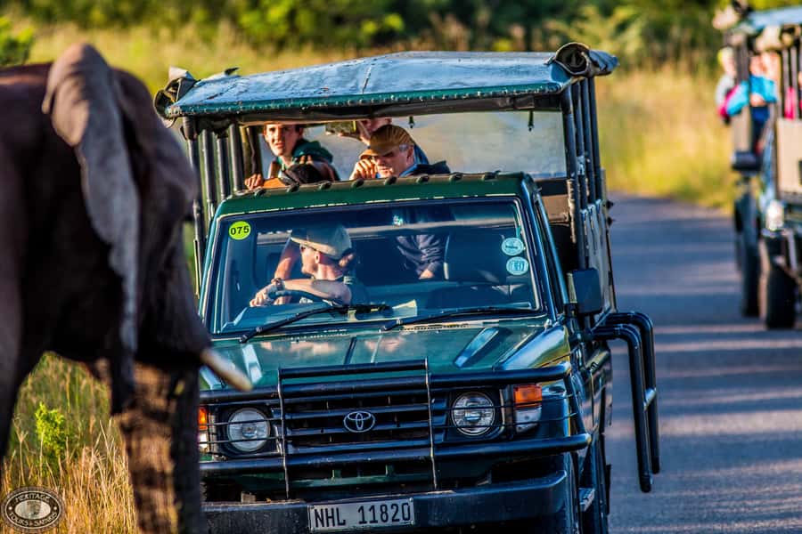 Hluhluwe-Imfolozi: Big 5 Full or Half-Day Safari - The 5:00 AM start from St. Lucia