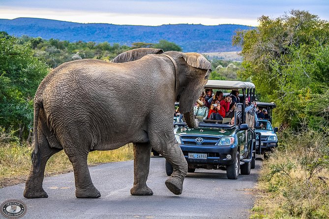 Hluhluwe-Imfolozi Park Full Day Big 5 Safari Tour - From St Lucia to Nyalazi Gate