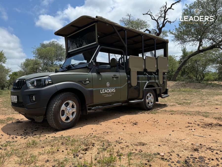 Hoedspruit: Private Kruger National Park Full-Day Safari - Key points to know before booking