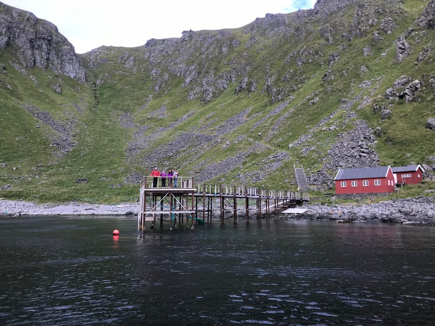 Honningsvåg: North Cape King Crab & Arctic Wildlife Safari - Is $261 a fair price?