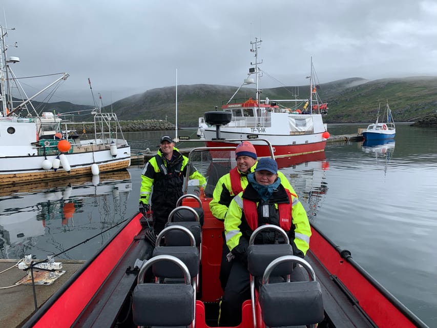 Honningsvåg: North Cape King Crab & Arctic Wildlife Safari - What this Honningsvåg RIB tour is really about