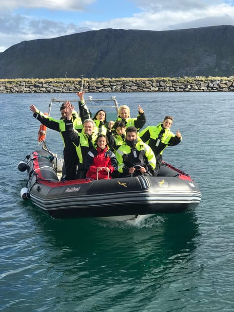 Honningsvåg: North Cape King Crab & Arctic Wildlife Safari - Watching for puffins, eagles, seals, and whales