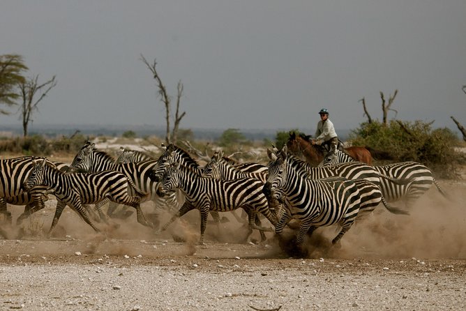 Horse safaris in Tanzania - Key points to know before you ride