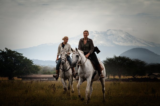 Horse safaris in Tanzania - Wildlife sightings from the saddle