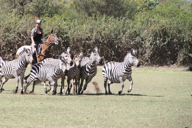 Horse safaris in Tanzania - Choosing morning or afternoon