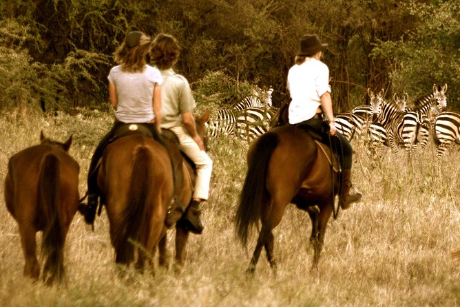 Horse safaris in Tanzania - Meeting the horses at Dolly Wildlife Estate
