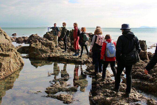 Howth Safari Hiking Tour - Why this Howth walk is worth leaving Dublin for