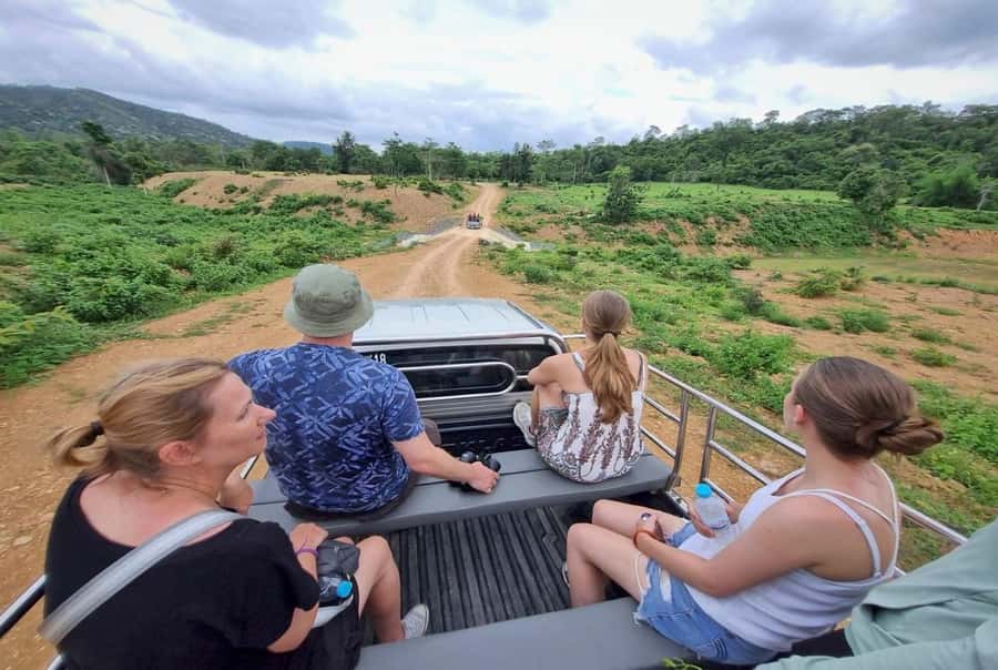 Hua Hin: Kui Buri Elephant Safari Private Tour - Three hours of patient wildlife watching