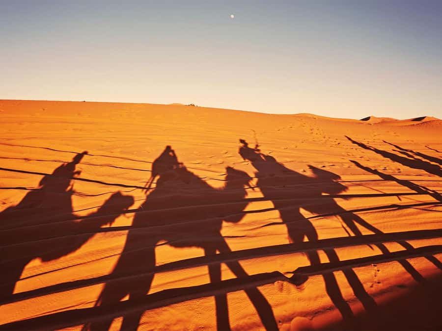 Hurghada: 6-Hour Jeep Desert Safari, Dinner, and Show - Quad bikes and spider buggies