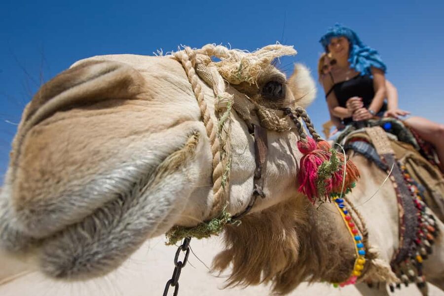 Hurghada: ATV Quad, Jeep and Buggy Safari with BBQ Dinner - Camel ride and sunset photographs