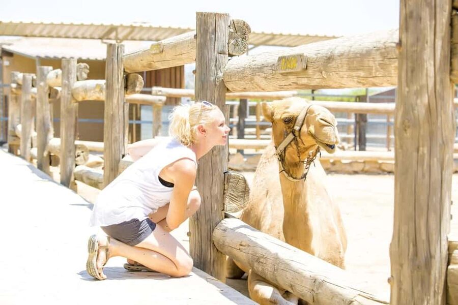 Hurghada: Mega Jeep safari, ATV & Bedouin vibe, and Dinner - ATV riding after a test run