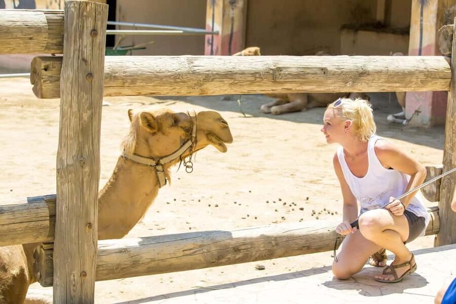 Hurghada: Mega Jeep safari, ATV & Bedouin vibe, and Dinner - Guides can shape the whole day