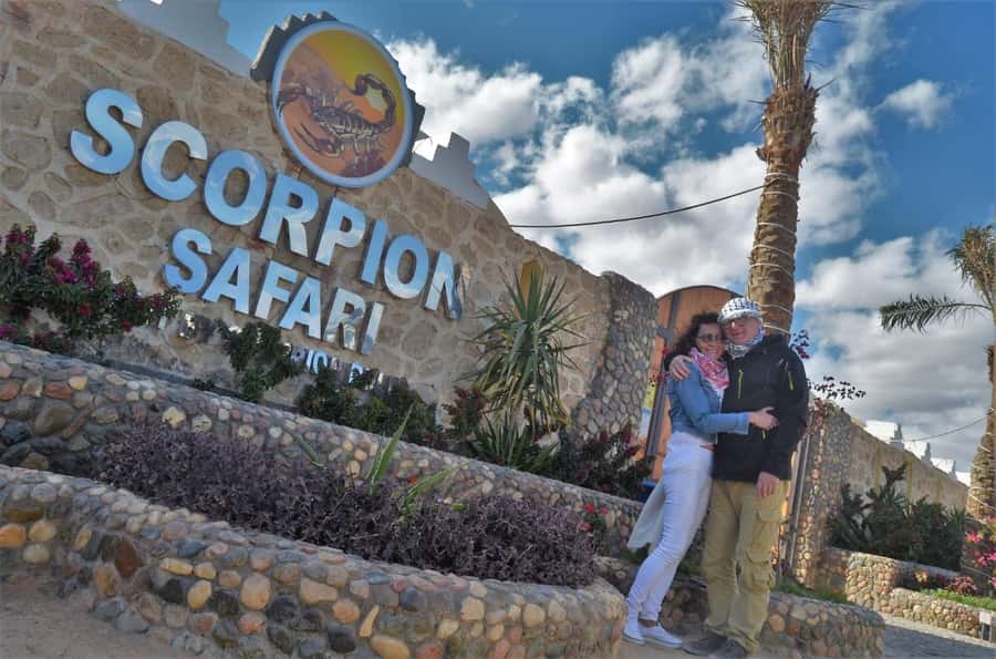 Hurghada: Quad and Buggy Safari with Dinner and Show - What this Hurghada desert safari is really like