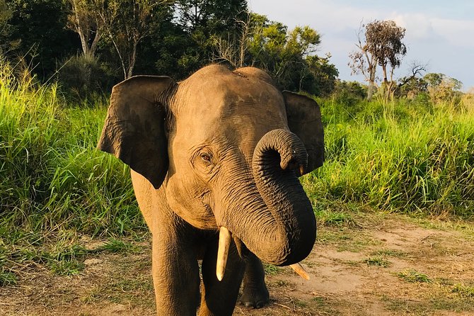 Hurulu Eco Park Half Day Safari - Key points at a glance