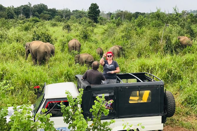 Hurulu Eco Park Half Day Safari - Riding in the private 4WD