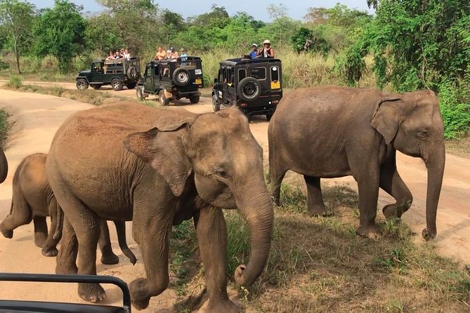 Hurulu Eco Park Private Safari - Guides, tracking, and keeping a respectful distance