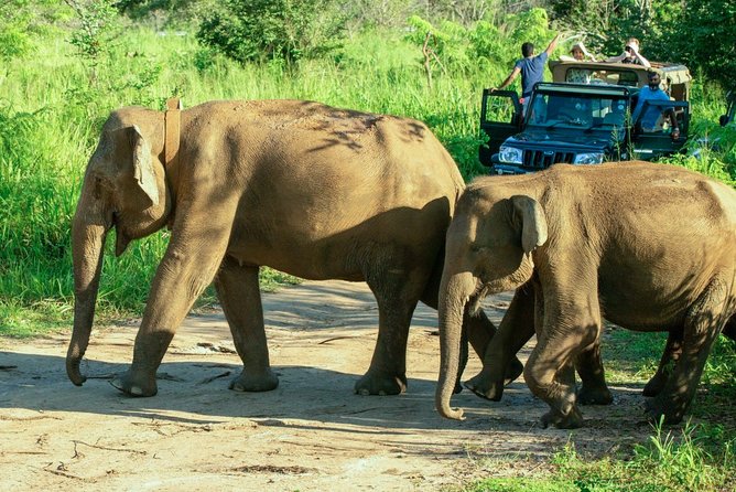 Hurulu Eco Park Private Safari - Who will enjoy this safari most