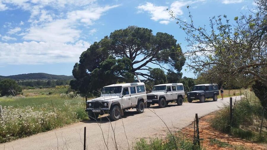 Ibiza: Jeep Safari Island Exploration - What comes in the baguette picnic