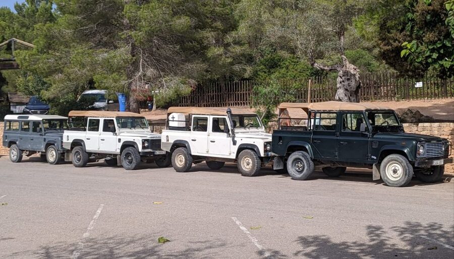 Ibiza: Jeep Safari Island Exploration - Off-road tracks that ordinary cars cannot handle