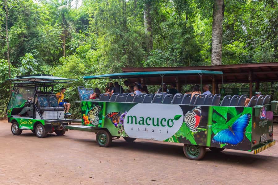 Iguassu Falls: Guided Tour & Macuco Safari on Pontoon Boats - What the pontoon boat ride is really like
