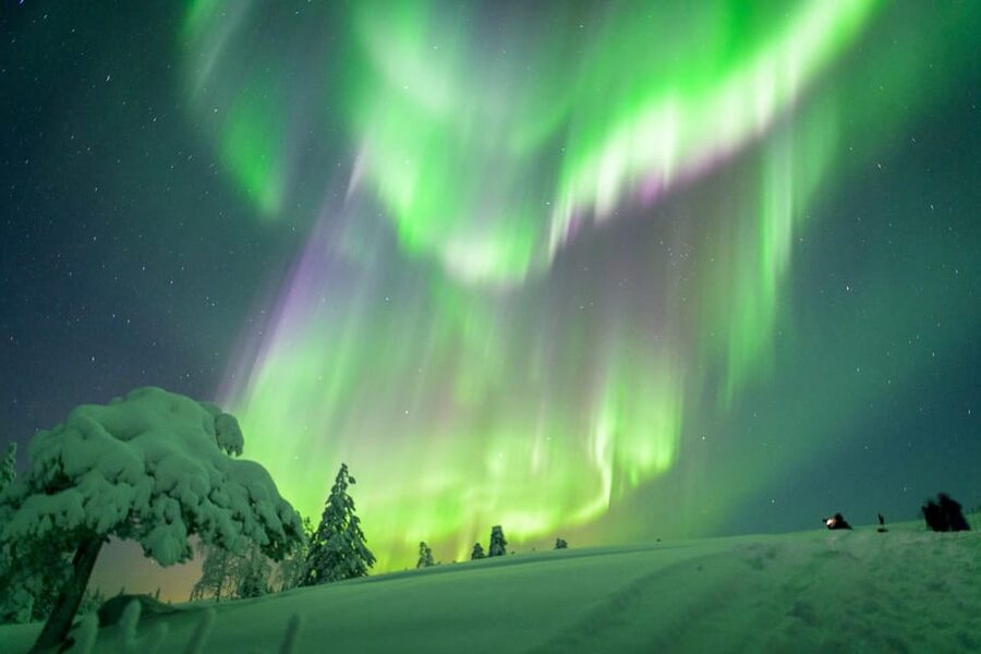 Inari: Northern Lights Hunt Snowmobile Safari - Riding from Inari into the silent forest