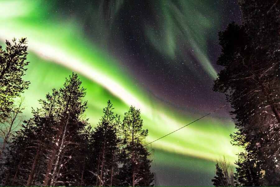 Inari: Northern Lights Hunt Snowmobile Safari - Who will enjoy this most?