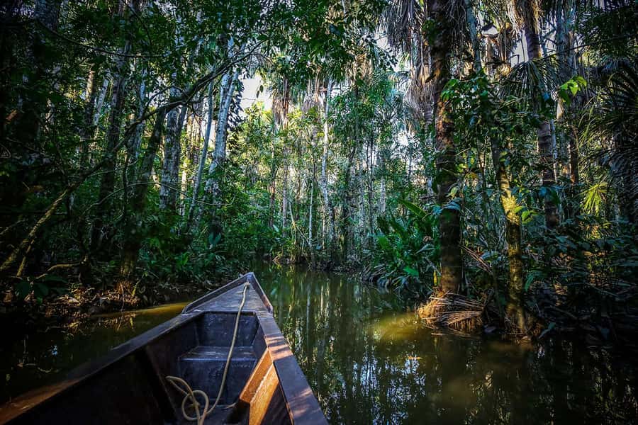Iquitos: Full Day Tour in the Jungle | Amazon Safari - Monkey Island and the problem with expectations
