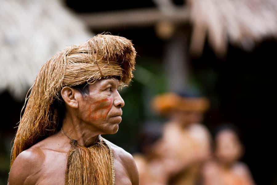 Iquitos: Full Day Tour in the Jungle | Amazon Safari - Lunch at the lodge and a slower afternoon