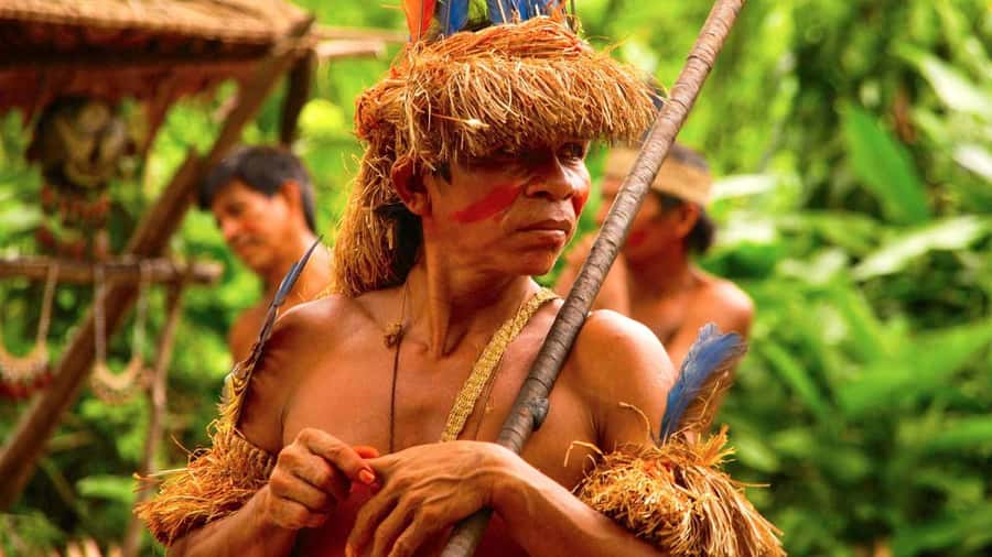 Iquitos: Full Day Tour in the Jungle | Amazon Safari - The return to Iquitos