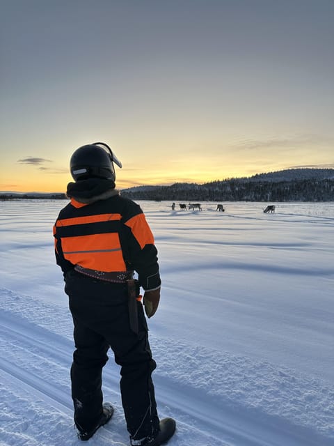 Ivalo: Snowmobile Safari, Meet and Feed Reindeers with Lunch - Who should book this Ivalo safari