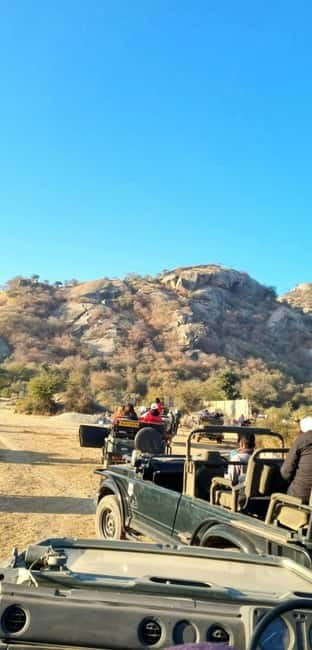 Jaipur: Jhalana Amagarh Leopard Reserve 4×4 Jeep Safari - The animals you may actually see