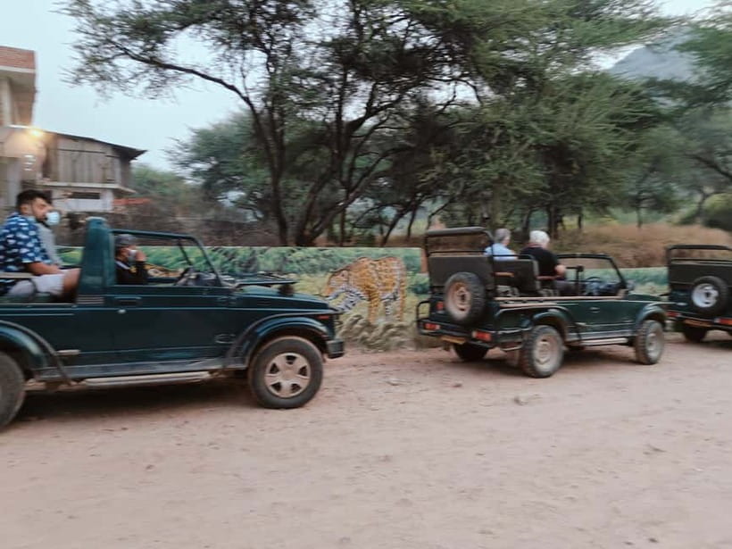 Jaipur: Jhalana Amagarh Leopard Reserve 4×4 Jeep Safari - Photography, comfort, and what to pack
