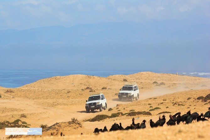 Jeep 4x4 Safari Atlantic Ocean & Desert Dunes with Berber Lunch - Tiznit, silver, and extra stops