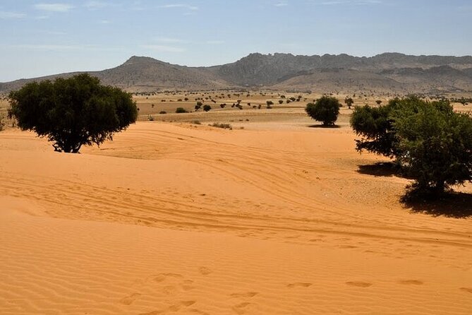 Jeep 4x4 Safari Desert Dunes & Atlantic Ocean with Berber Lunch - Souss-Massa National Park and the Massa River